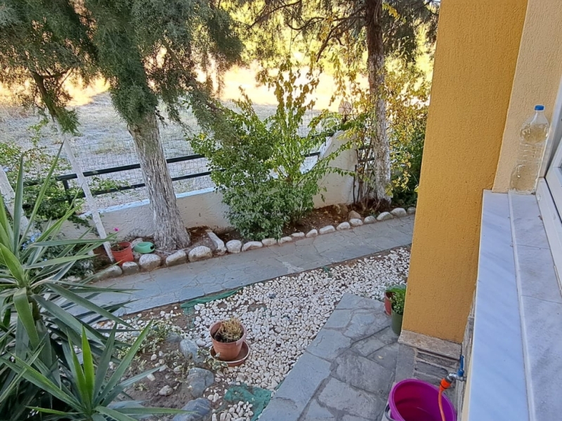Αρχείο εικόνας WhatsApp 2024-11-11 στις 13.20.49_06dfa07f