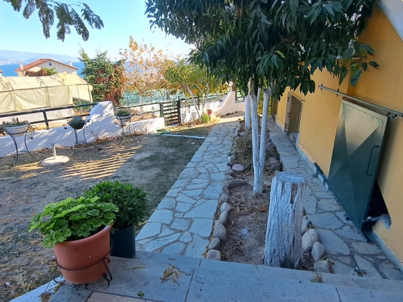Αρχείο εικόνας WhatsApp 2024-11-11 στις 13.20.49_fcbb8e9e