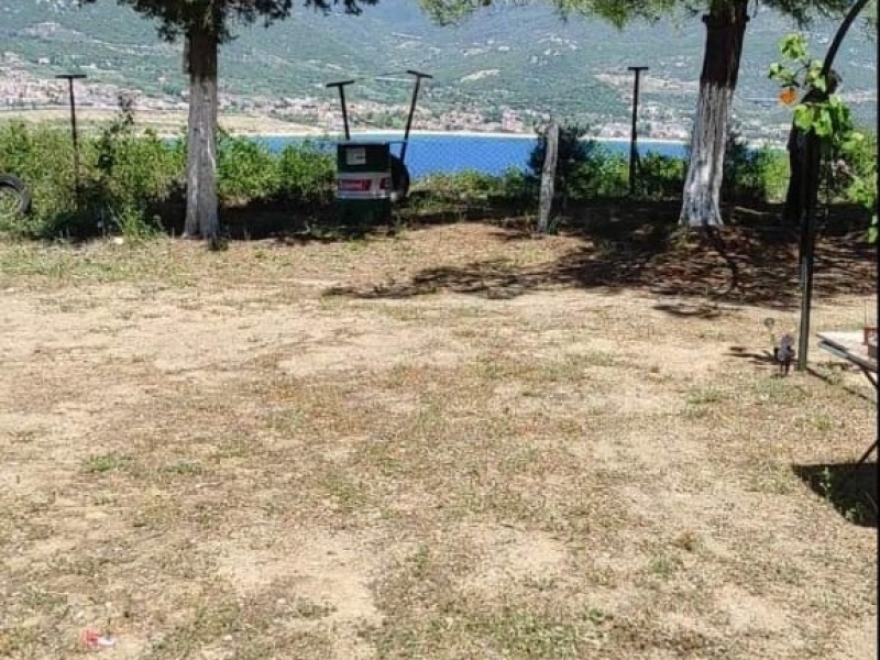 Αρχείο εικόνας WhatsApp 2024-12-19 στις 12.09.47_34518d0a