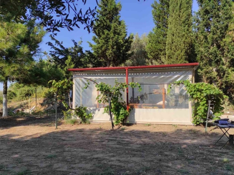 Αρχείο εικόνας WhatsApp 2024-12-19 στις 12.09.48_5c42d92f
