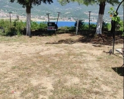 Αρχείο εικόνας WhatsApp 2024-12-19 στις 12.09.47_34518d0a