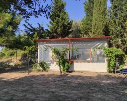 Αρχείο εικόνας WhatsApp 2024-12-19 στις 12.09.48_5c42d92f