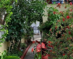 IMG-20240208-WA0037