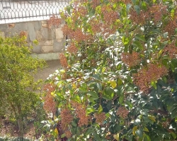 IMG-20240208-WA0053