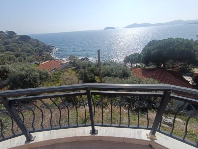 IMG-20240403-WA0195