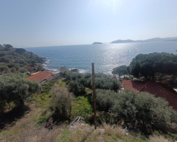 IMG-20240403-WA0194