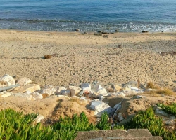 IMG-20240403-WA0061