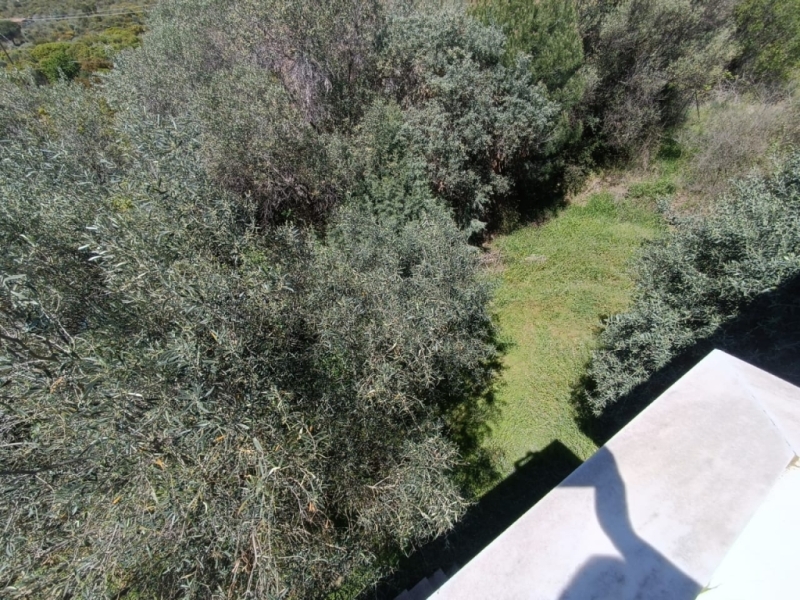 IMG-20240408-WA0015