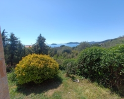 IMG-20240408-WA0011