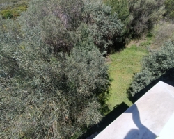 IMG-20240408-WA0015