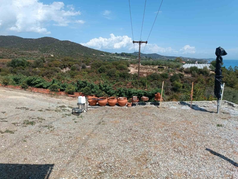 Αρχείο εικόνας WhatsApp 2024-06-15 στις 10.12.35_8959cc23