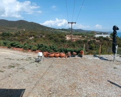 Αρχείο εικόνας WhatsApp 2024-06-15 στις 10.12.35_8959cc23