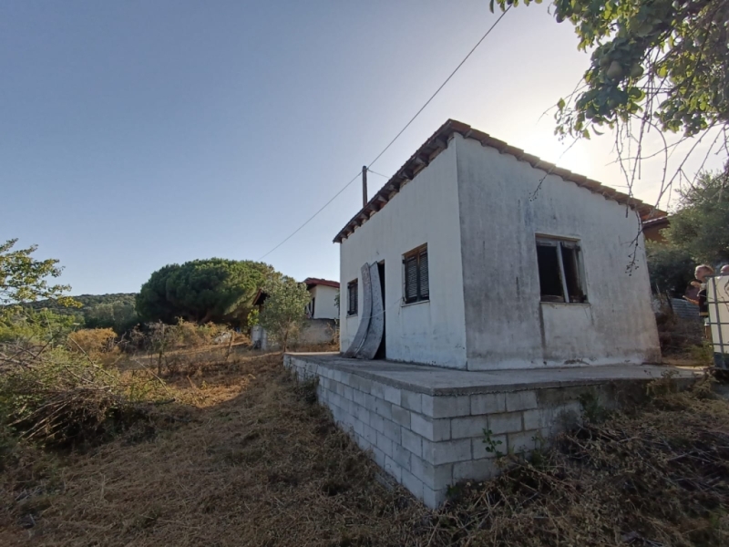 Αρχείο εικόνας WhatsApp 2024-06-26 στις 11.50.36_2411efc9