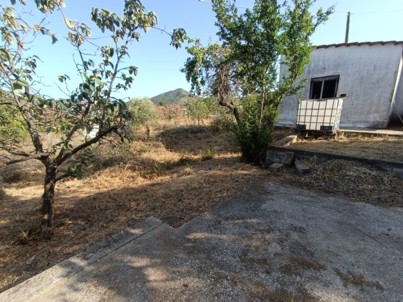 Αρχείο εικόνας WhatsApp 2024-06-26 στις 11.50.37_46576c8e