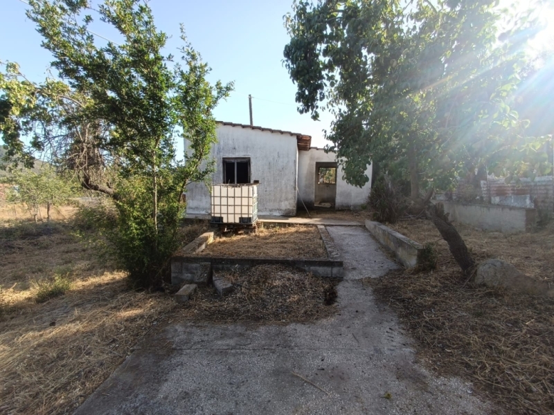 Αρχείο εικόνας WhatsApp 2024-06-26 στις 11.50.37_762861a6