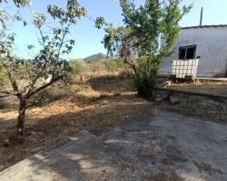 Αρχείο εικόνας WhatsApp 2024-06-26 στις 11.50.37_46576c8e