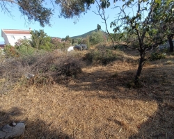 Αρχείο εικόνας WhatsApp 2024-06-26 στις 11.50.37_64ecee7b