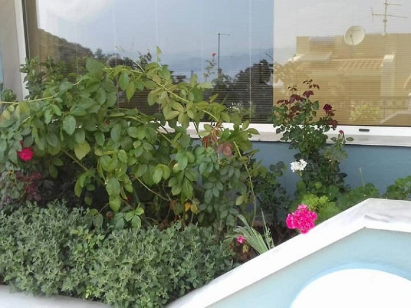 Αρχείο εικόνας WhatsApp 2024-06-19 στις 11.34.02_9fe68965