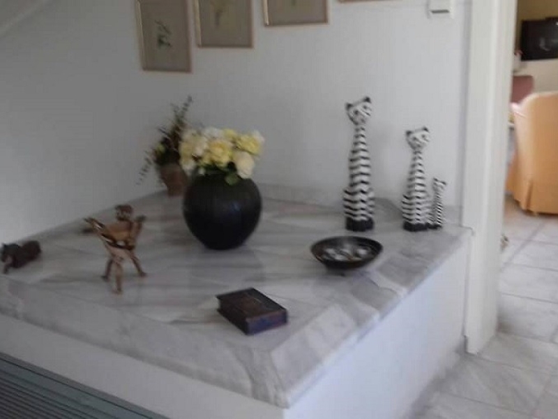 Αρχείο εικόνας WhatsApp 2024-06-19 στις 11.34.04_f3eebc49