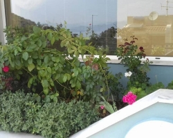 Αρχείο εικόνας WhatsApp 2024-06-19 στις 11.34.02_9fe68965
