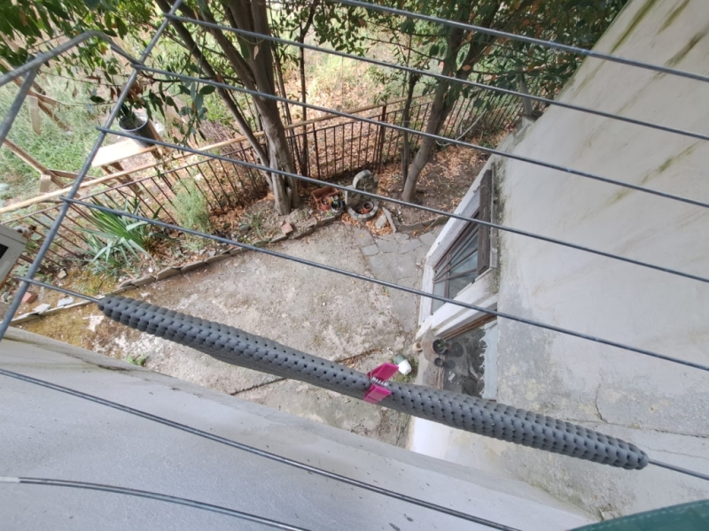 IMG-20240827-WA0006