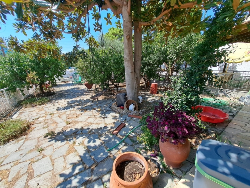 Αρχείο εικόνας WhatsApp 2024-08-27 στις 11.23.40_25ed8a5a