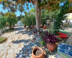 Αρχείο εικόνας WhatsApp 2024-08-27 στις 11.23.40_25ed8a5a