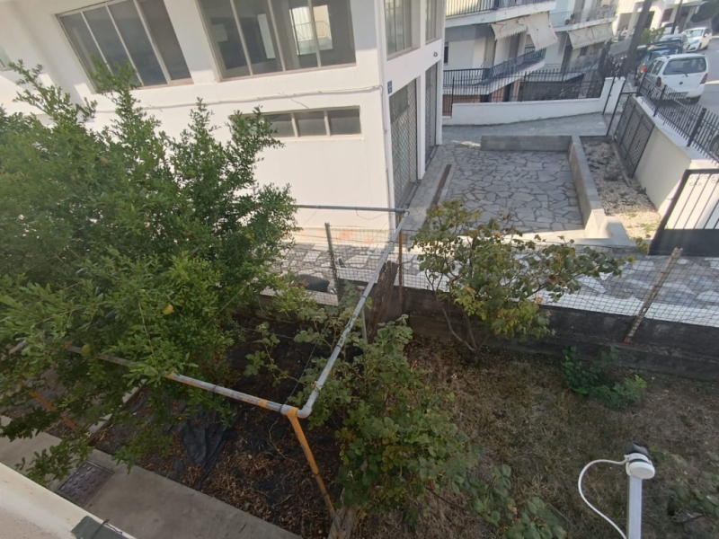 IMG-20230808-WA0168