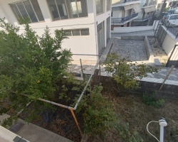 IMG-20230808-WA0168
